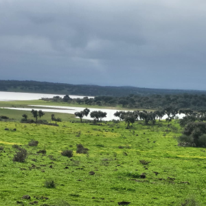 herdade 1 - barragem